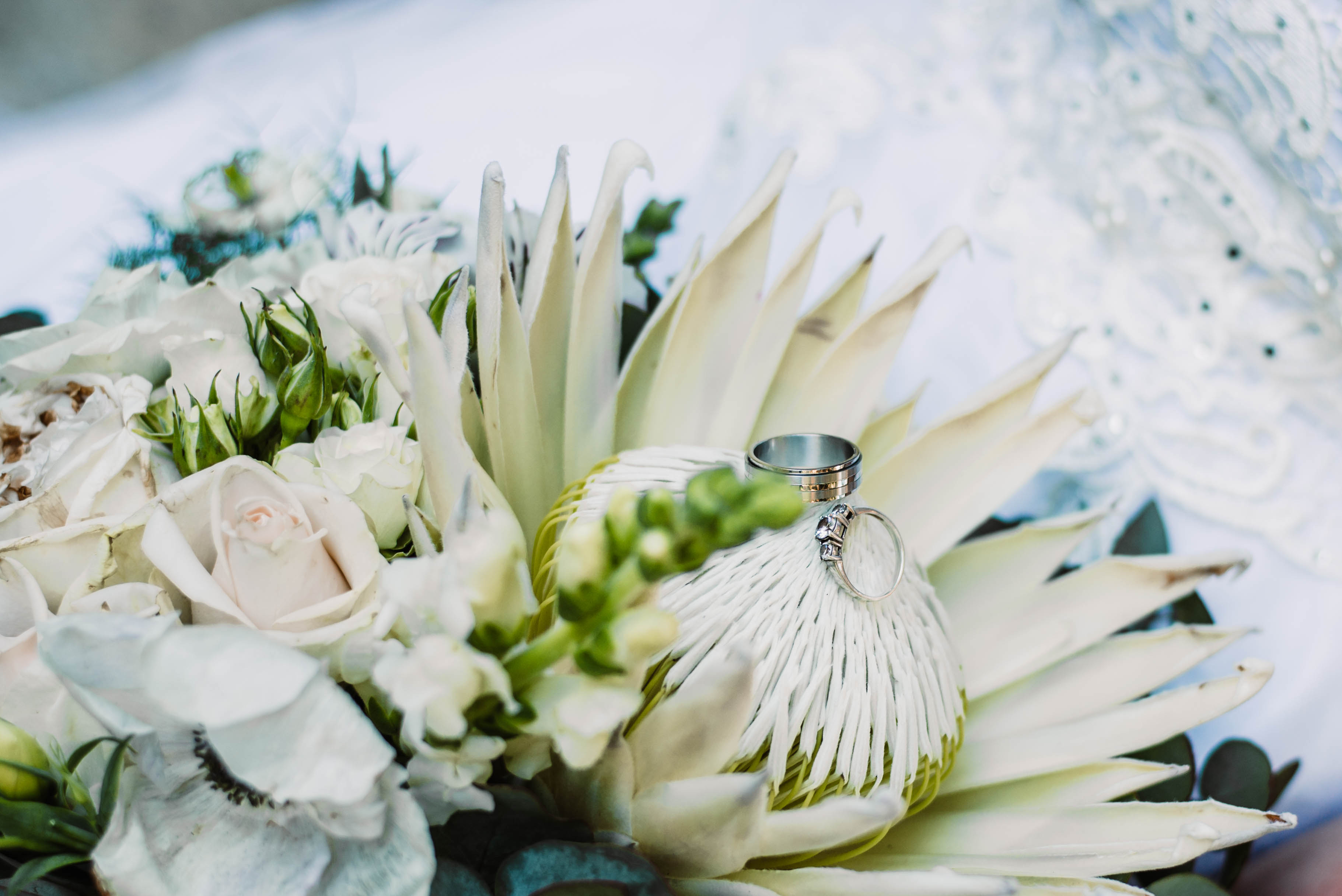 Wedding (16)
